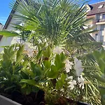 Des Logis Des Jardiniers Strasbourg-roberstau * Straßburg