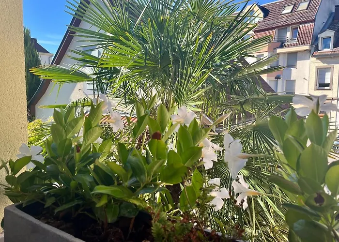 Des Logis Des Jardiniers Strasbourg-roberstau * Straatsburg