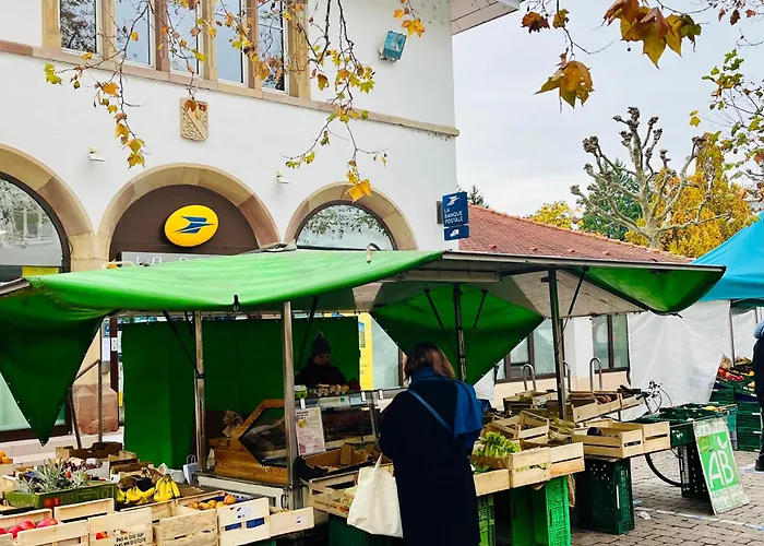 Des Logis Des Jardiniers Strasbourg-roberstau Appartement Straatsburg